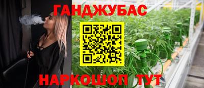 не бодяженный Гай
