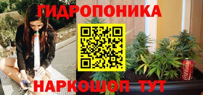 ПСИЛОЦИБИНОВЫЕ ГРИБЫ Гатчина