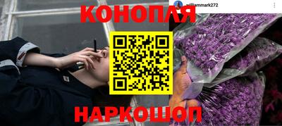 ПСИЛОЦИБИНОВЫЕ ГРИБЫ Гатчина
