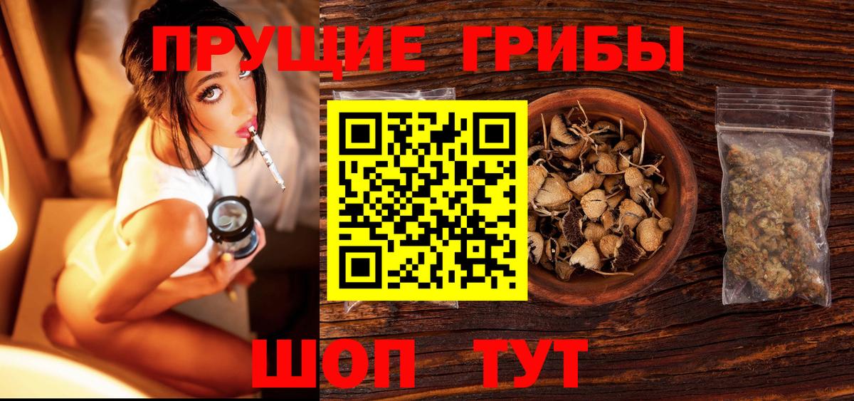 МЕФ Грозный