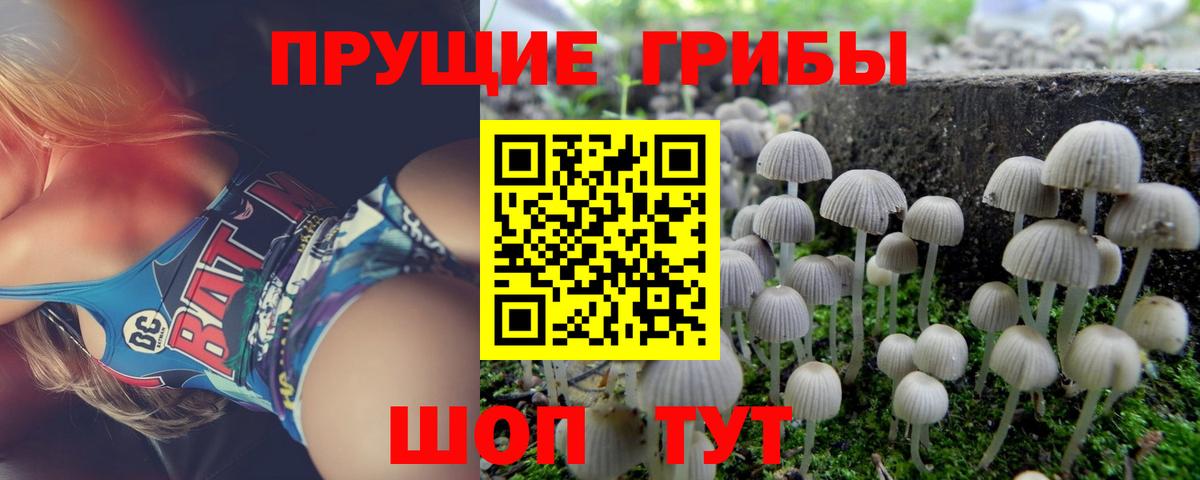 Псилоцибиновые грибы Magic Shrooms Грозный