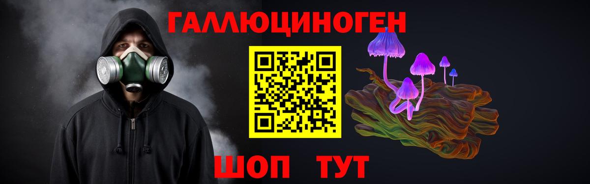 Галлюциногенные грибы Psilocybine cubensis  Псилоцибиновые грибы мухоморы  Вход с VPN  Грозный 